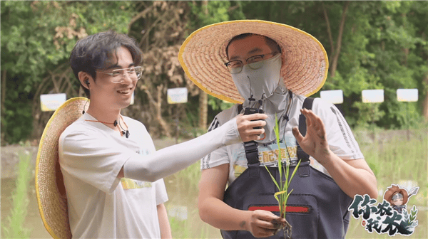 《王者荣耀》策划种田直播引发热议