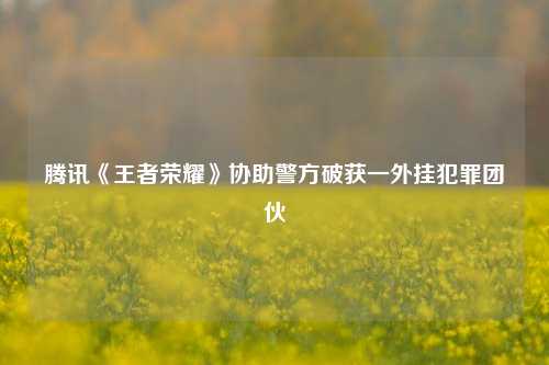 腾讯《王者荣耀》协助警方破获一外挂犯罪团伙