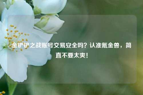 金铲铲之战账号交易安全吗？认准氪金兽，简直不要太爽！