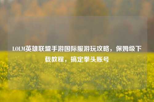 LOLM英雄联盟手游国际服游玩攻略，保姆级下载教程，搞定拳头账号