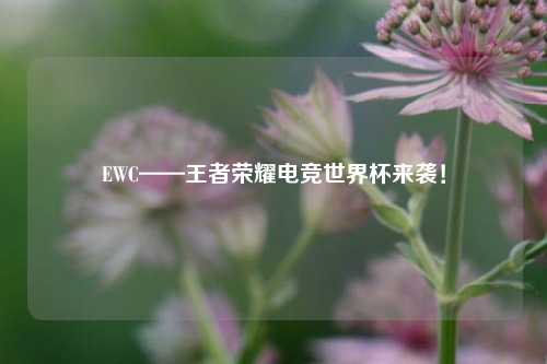 EWC——王者荣耀电竞世界杯来袭！