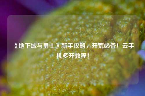 《地下城与勇士》新手攻略，开荒必备！云手机多开教程！