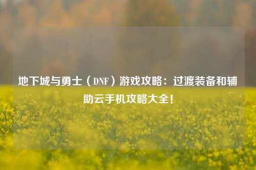 地下城与勇士（DNF）游戏攻略：过渡装备和辅助云手机攻略大全！