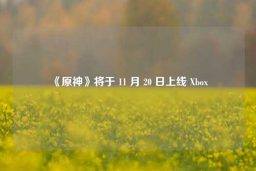 《原神》将于 11 月 20 日上线 Xbox