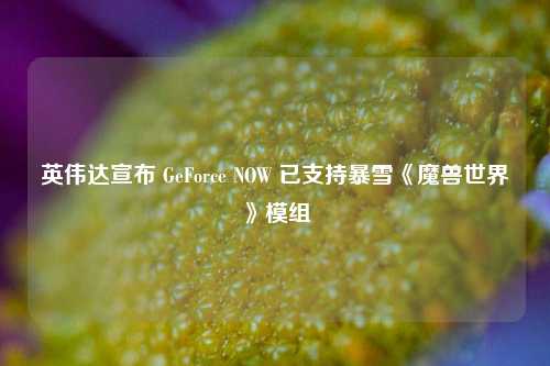 英伟达宣布 GeForce NOW 已支持暴雪《魔兽世界》模组