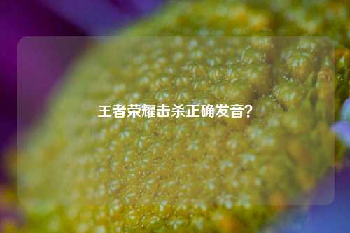 王者荣耀击杀正确发音？