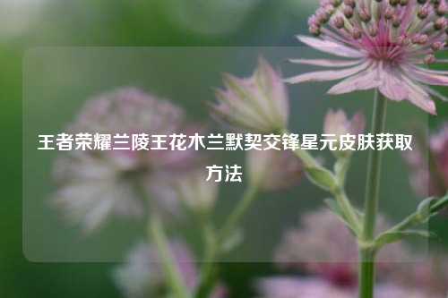 王者荣耀兰陵王花木兰默契交锋星元皮肤获取方法