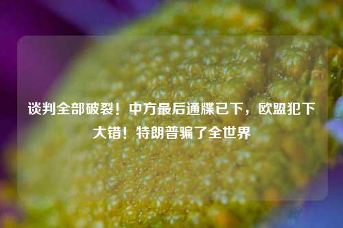 谈判全部破裂！中方最后通牒已下，欧盟犯下大错！特朗普骗了全世界