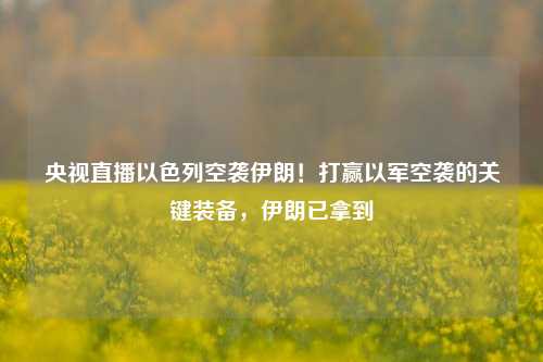 央视直播以色列空袭伊朗！打赢以军空袭的关键装备，伊朗已拿到